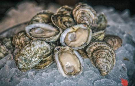 Owoce morza – prosty i uniwersalny wybór do codziennego menu